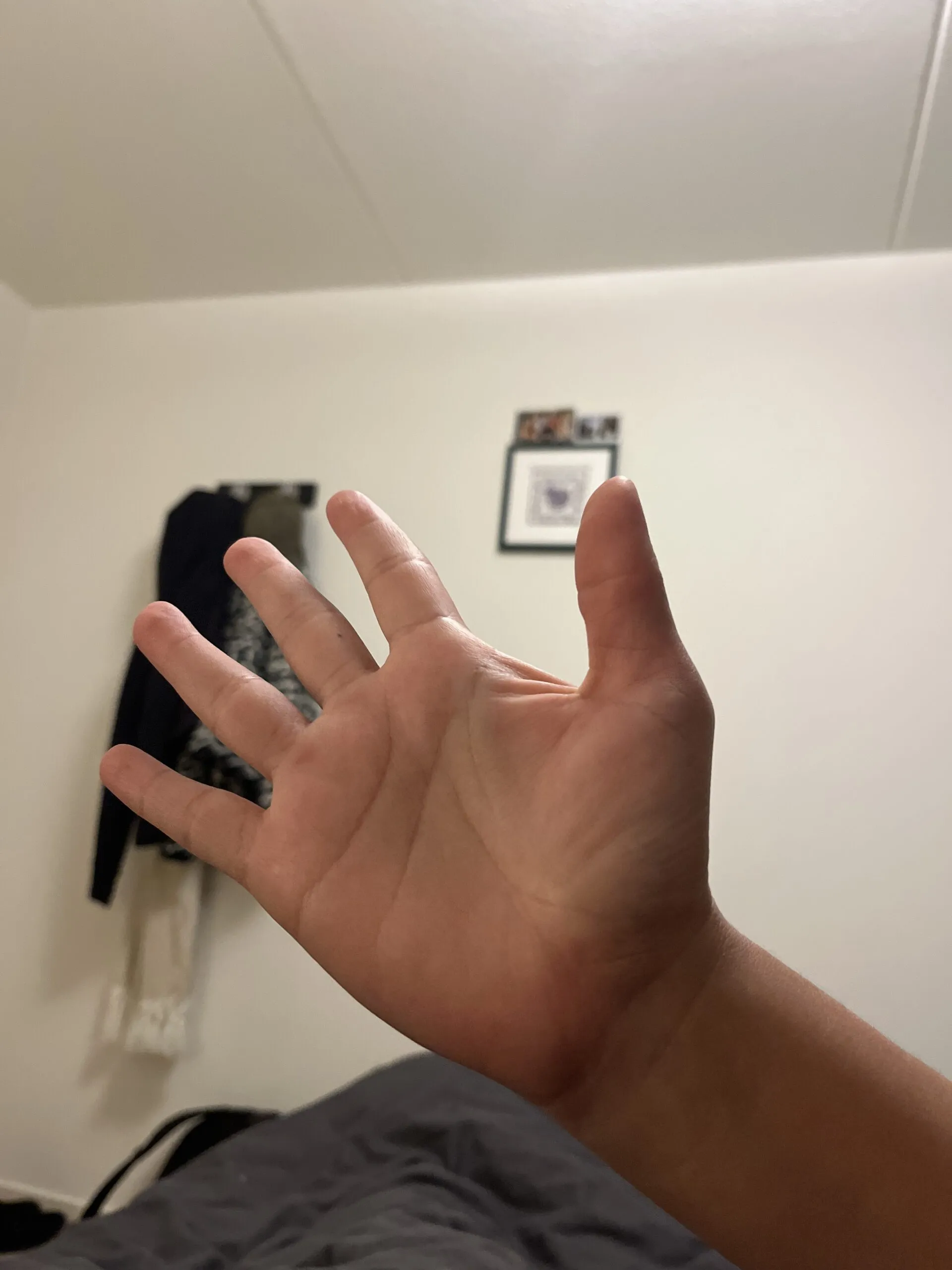 Mi mano